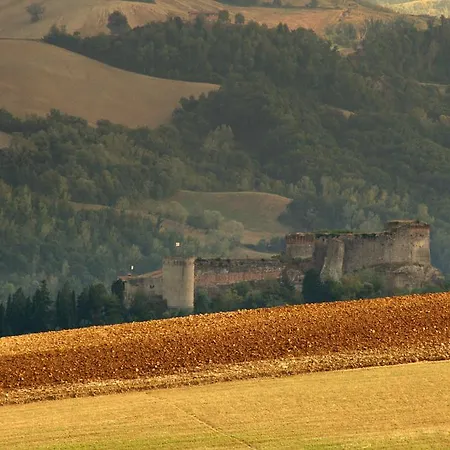 Piolanti Hotel Castrocaro Terme