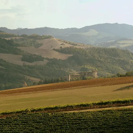 Hotel Piolanti 3*
